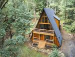 Explore Off-Grid Cabin Rentals: A Complete Guide with Facts and Insights