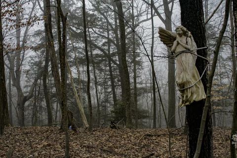 Exploring the Mystique of Abandoned Farms