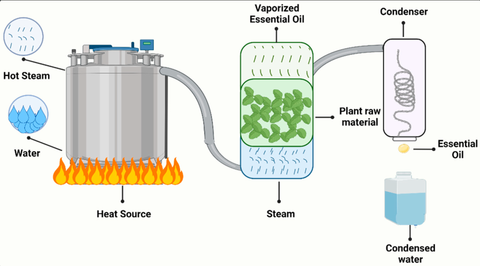 Sludge Dewatering Machine: A Complete Guide to Working Principles and Industrial Applications