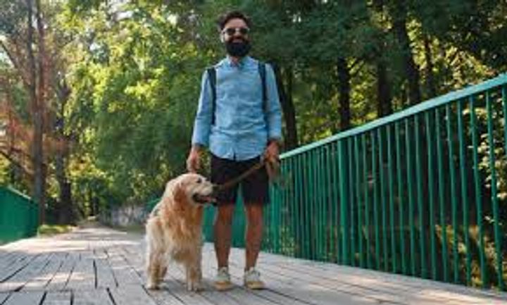 Explore the Booming Demand for Pet-Friendly Apartments in Bangalore