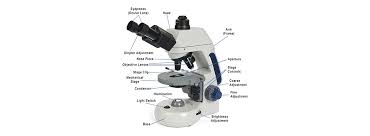 From Microscopes to Metrology: A Deep Dive into Precision Instruments