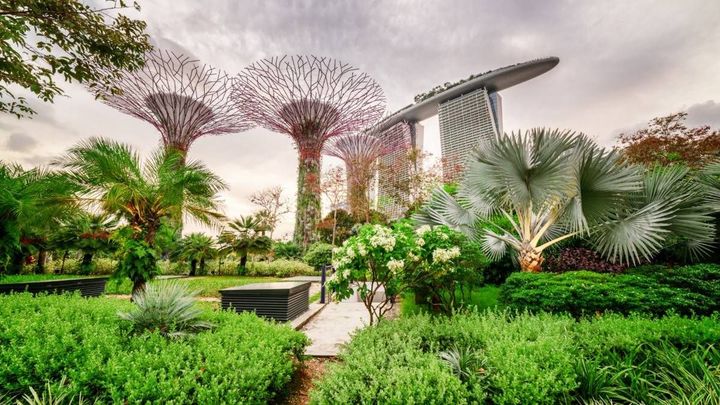 Singapore Gardens by the Bay Overview: Tips, Facts & Travel Guide
